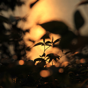 大肚子孕妇做爱视频
